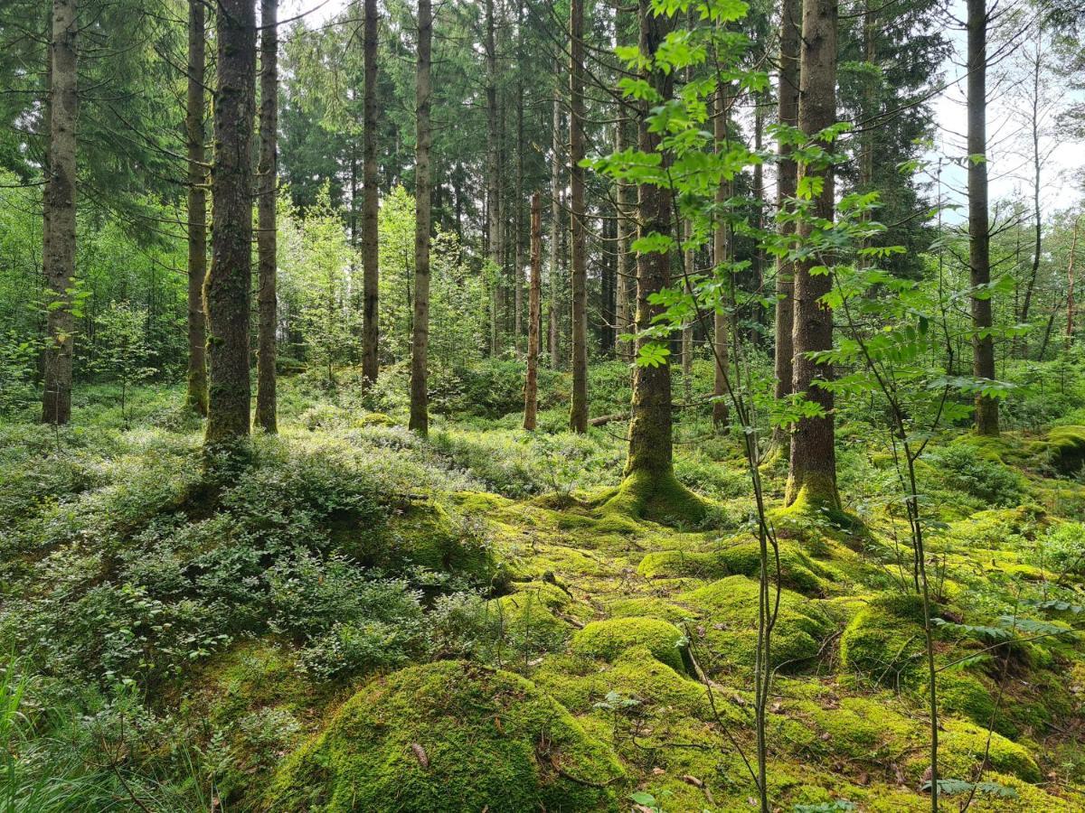 Stuga I Naturen Simlångsdalen Екстериор снимка