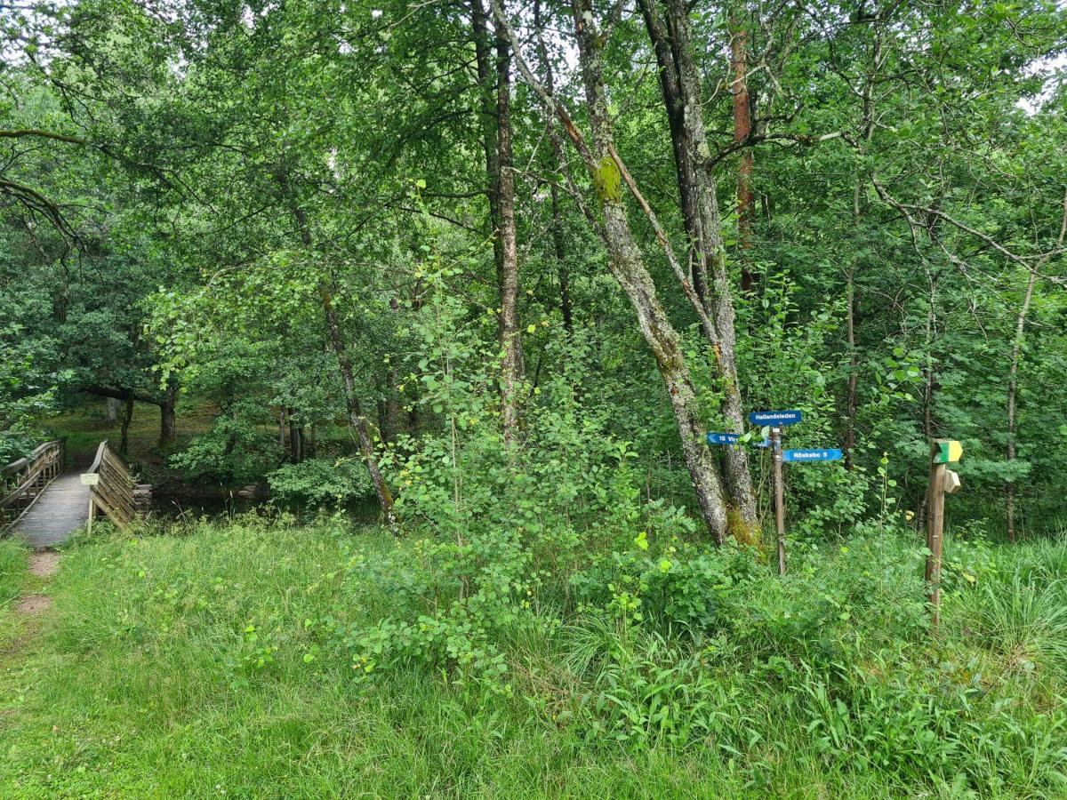 Stuga I Naturen Simlångsdalen Екстериор снимка