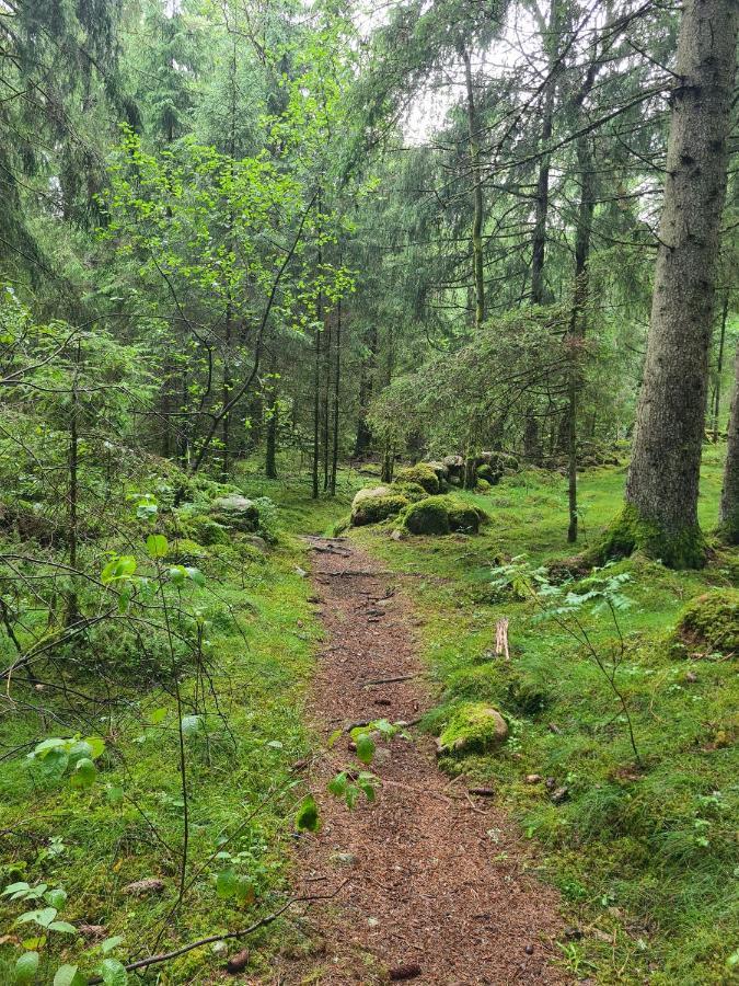 Stuga I Naturen Simlångsdalen Екстериор снимка