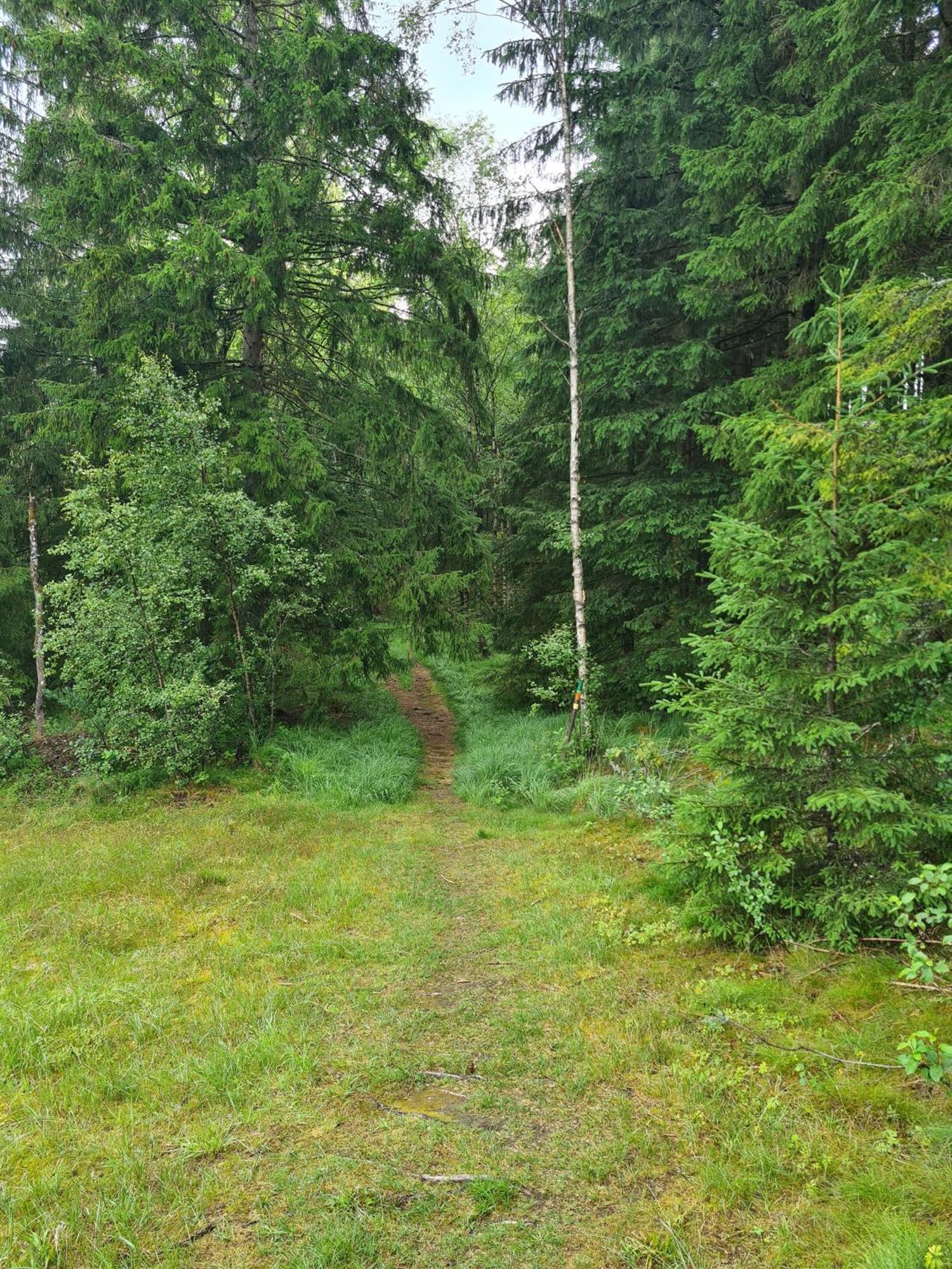 Stuga I Naturen Simlångsdalen Екстериор снимка